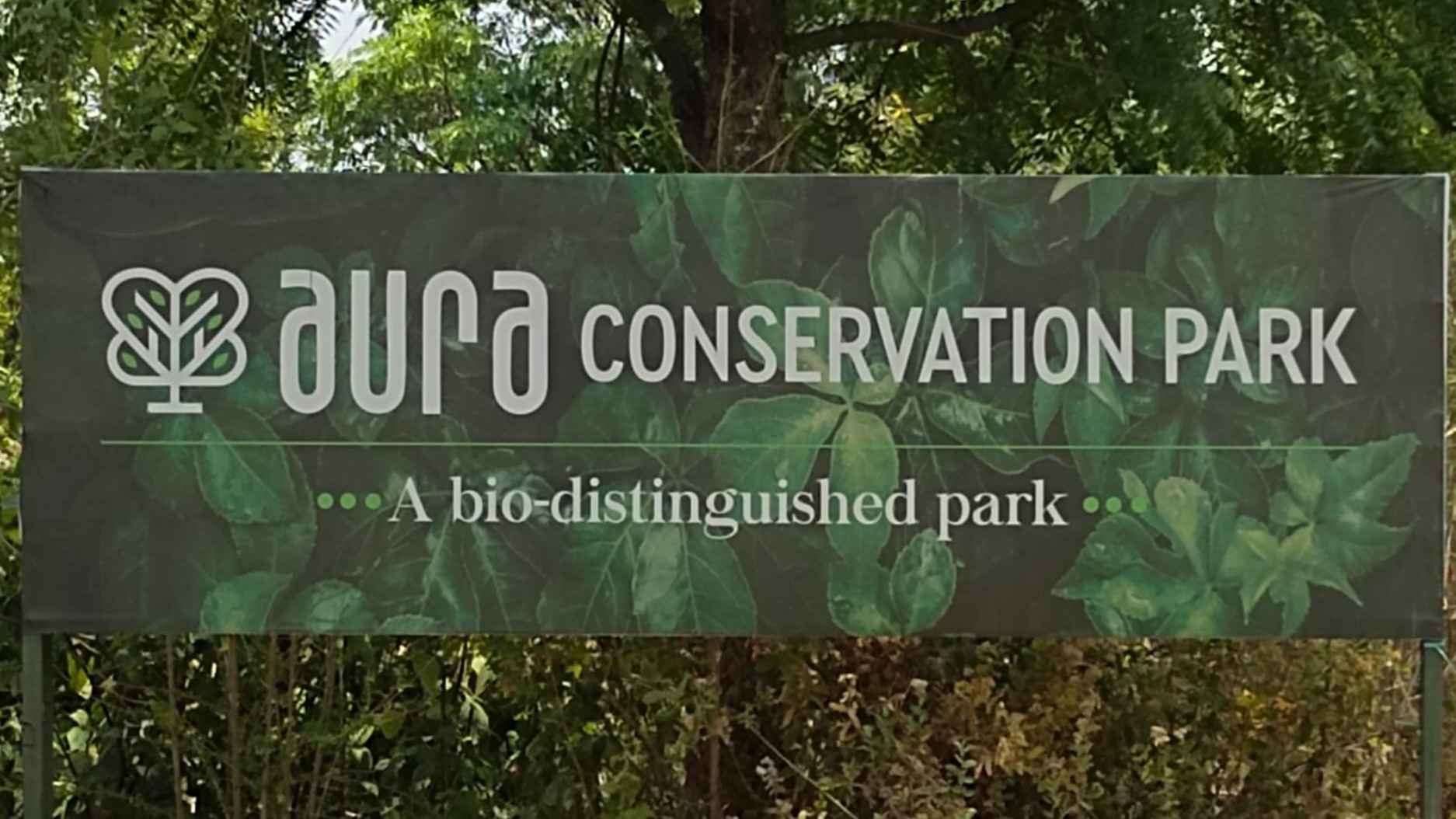 Main Banner Image 1
